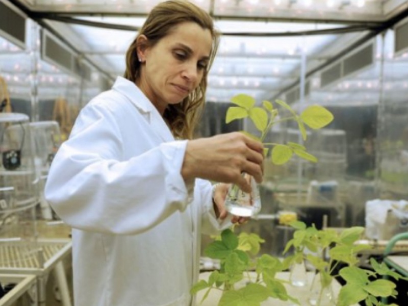 Career as agriculture scientist Career as agriculture scientist