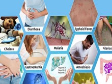 বানৰ পৰা হ’ব পৰা ৰোগ