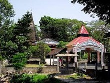 শ্ৰী শ্ৰী বাসুদেৱ থান / নৰোৱা সত্ৰ❀❀❀ শ্ৰী শ্ৰী বাসুদেৱ থান / নৰোৱা সত্ৰ❀❀❀