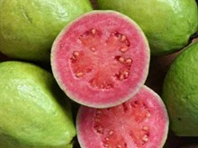 মধুৰিআমৰ নিয়মীয়া সেৱনে কলেষ্টৰেলৰ মাত্রা হাস কৰে।(know all about the benefits of gauva fruit)