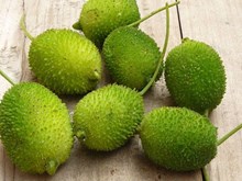 ভাত কেৰেলাৰ ঔষধি গুণ