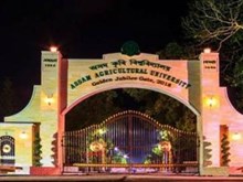 অসম কৃষি বিশ্ববিদ্যালয়ত চাকৰি 2021: 157 ADO., সহকাৰী কৃষি অভিযন্তা আৰু জুনিয়ৰ অভিযন্তা পদৰ বাবে অনলাইন আবেদন কৰক অসম কৃষি বিশ্ববিদ্যালয়ত চাকৰি 2021: 157 ADO., সহকাৰী কৃষি অভিযন্তা আৰু জুনিয়ৰ অভিযন্তা পদৰ বাবে অনলাইন আবেদন কৰক