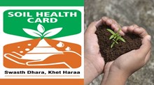 কৃষক Soil Health Card য়ে কেনেকৈ উপকৃত কৰিব পাৰে? কৃষক সকলৰ বাবে এই কার্ড থকাটো বাধ্যতামূলক নেকি? জানক সকলো (how to get Benefited by Soil Health Card)