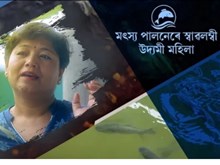 মৎস্য পালনৰে লাখ লাখ টকা উপার্জন কামৰূপৰ ৰঞ্জিতাৰ