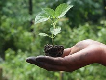 ধেমাজিৰ স্বাৱলম্বী মহিলা ৰূপা বিশ্বাস