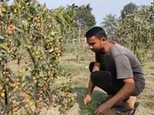 দক্ষিণ শালমাৰা-মানকাচৰত বগৰী খেতিৰে লাখ টকা উপার্জন কৰা এজন নিবনুৱা যুৱক