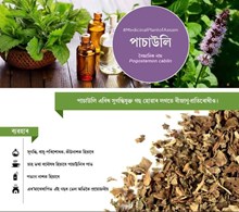 পাচাউলিৰ খেতিৰ ৰোগ আৰু নিয়ন্ত্রনৰ উপায় (Disease and Control)