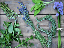 Medicinal Plant Farming - ঔষধি উদ্ভিদৰ খেতি কৰি উপার্জন কৰক অধিক মুনাফা