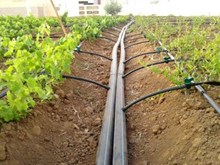 Drip Irrigation- ড্ৰিপ জলসিঞ্চন আৰু ইয়াৰ লাভালাভ কি? কৃষকসকলে এই পদ্ধতি কিয় অনুসৰণ কৰিব লাগে