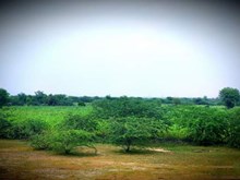 Weather Updates Assam: আজিৰ দিনটোৰ বতৰৰ জাননী 