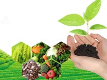 Crop Care - জৈব পদ্ধতিত শস্যৰ ৰোগ আৰু কীট নিয়ন্ত্রণ