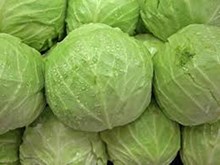 ৰবি ঋতুৰ পুষ্টিকৰ পাচলি বন্ধাকবি (Cabbage) ৰ বিষয়ে জানো আহঁক  