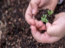 কৃষিক্ষেত্ৰত কাৰ্যকৰী অণুজীৱ (Effective Microorganisms) ৰ  ভূমিকা