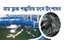 বায়’ফ্লক (Bio floc) পদ্ধতিত মৎস উৎপাদনেৰে দুগুণ বৃদ্ধি কৰক উপাৰ্জন!