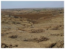 চৰকাৰীৰ ভূমিত খেতি কৰিবলৈ কি কি চৰ্ত পালন কৰিব লাগিব আপুনি ?