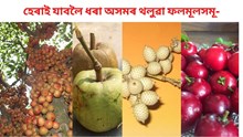 হেৰাই যাবলৈ ধৰা অসমৰ থলুৱা ফলমূলসমূ-