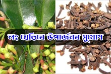 কেনেদৰে কৰিব লং খেতি?