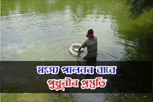 মৎস্য পালনৰ বাবে পুখুৰীৰ প্ৰস্তুতি :
