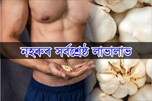 পুৰুষৰ বাবে নহৰুৰ সৰ্বশ্ৰেষ্ঠ লাভালাভ-