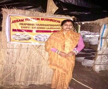 বাটন কাঠফুলাৰ খেতি কৰি স্বনির্ভৰশীলতাৰ সপোন দেখিছে ধুবুৰীৰ এইগৰাকী মহিলাই