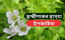 ব্ৰাহ্মীশাকৰ স্বাস্হ্য উপকাৰিতা-