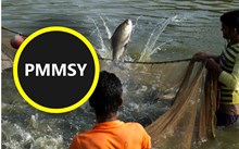 ৪০ শতাংশ ৰাজসাহাৰ্য! প্ৰধানমন্ত্ৰী মৎস্য সম্পদা যোজনাৰ অধীনত এই সুবিধাৰ লাভ উঠাওক মীনপালকে