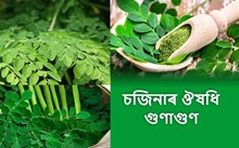 চজিনাৰ বিভিন্ন ঔষধি গুণাগুণ সম্পৰ্কে-