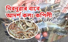 নীল বিপ্লৱেৰে ৰাজ্যলৈ প্ৰগতিৰ জোৱাৰ কলং-কপিলীৰ