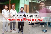 মিশ্ৰিত পামেৰে বছৰি লাখ টকাৰ ব্যৱসায় পাঠশালাৰ দীপাংকৰৰ-