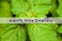 শুকলতি (পাচাউলি) শাকৰ স্বাস্হ্য উপকাৰিতা