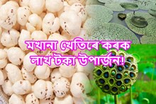 মখানাৰ খেতি কৰি ক’ম দিনতে লাখপতি হব পাৰে আপুনি-