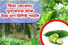 কেনেদৰে কৰিব  গ্ৰীষ্মকালীন পাচলি তিঁতা কেৰেলাৰ খেতি?