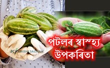 গ্ৰীষ্মকালীন পাচলি ‘পটল’ খাই ভাল পায় নেকি আপুনি ?  জানক ইয়াৰ স্বাস্হ্য উপকাৰিতা