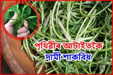 পৃথিৱীৰ আটাইতকৈ দামী শাকবিধঃ যাৰ মূল্য হৈছে ৮২ হাজাৰ প্ৰতিকিলোত