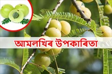 আয়ুৰ্বেদত কি কি ৰোগত  ব্যৱহাৰ হয় আমলখি?