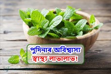 Spearmint: পুদিনাৰ অবিশ্বাস্য স্বাস্থ্য লাভালাভ কি?! জানো আহক