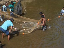 বানপানীৰ পিছত কি কি কৰিব মীন পালকসকলে?
