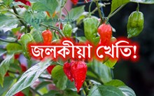জলকীয়া খেতিৰ বাবে জলবায়ু আৰু মাটি নিৰ্বাচন