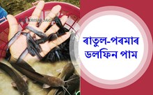 Fish Farming: নলবাৰীৰ ৰাতুল-পৰমাৰ ডলফিন পাম!