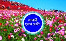 হাৰিয়ানাৰ সফল কৃষক ৰণবীৰ সিঙৰ কাহিনী!