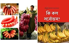 কি কল সৰ্বোত্তম?