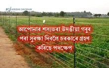 ৪০ হাজাৰ পৰ্যন্ত ধন লাভ কৰিব TARBANDI YOJANAৰ অধীনত
