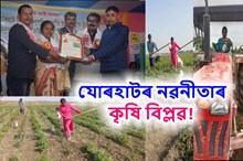 নাৰ্ছৰ চাকৰি ত্যাগ কৰি যোৰহাটৰ নৱনীতাৰ কৃষি বিপ্লৱ