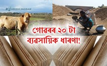 গোবৰৰ পৰা কৰিব পৰা ২০ টা গ্ৰাম্য ব্যৱসায়িক ধাৰণা!