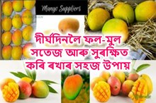 দিল্লীয়ে চৰকাৰে স্বীকৃতি প্ৰদান কৰিছে এই ৰাইপেনিং পদ্ধতিক