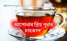 Red Tea- ৰঙা চাহৰ গুণাগুণ