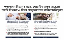 বিজ্ঞাপনৰ বাহিৰে ৰাজ্যৰ গাহৰি পালকসকলে লাভ কৰিছেনে এইসমূহ চৰকাৰী সুবিধা