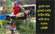 বুলেটৰে গাখীৰ বিক্ৰি কৰি চৰ্চাত বকোৰ ডেইজী