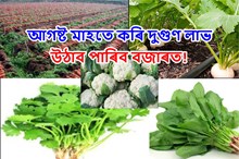 আগষ্ট মাহত কৰি আগতীয়াকৈ বজাৰত উলিয়াব পৰা খেতি