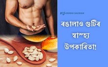 ৰঙালাও গুটিৰ স্বাস্হ্য উপকাৰিতা সম্পৰ্কে গুৰুত্বপূৰ্ণ তথ্য
